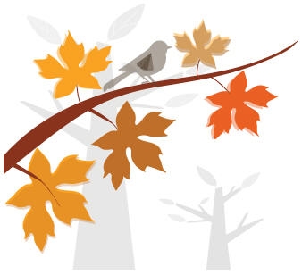 fall.jpg (43688 bytes)