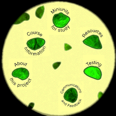 Image map for links